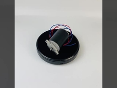 300W 500W gebürsteter DC-Dauermagnetmotor drehmomentstarkes 24V 48V für Rasenmäher