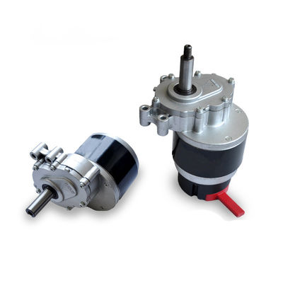 Zweistufiger Reduzierer-Rollstuhl-Bewegungslangsamer gebürsteter Gang-Dauermagnetmotor 250W 24V