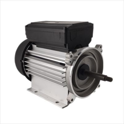 einphasiges elektrisches 1hp 3000rpm des Unterwassermotor-300-500W für Umlaufpumpen