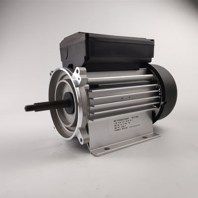 elektrischer Pumpen-Bewegungseinphasiges 3000rpm des Wasser-300-700W für Badekurort-und Badewannen-Pumpen