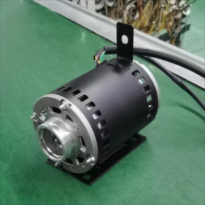 Elektrische Wasserkaffeemaschine Pumpenmotor mit Kondensator Einphasendesign 350w 550w