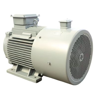 Dauermagnet-Synchronmotor mit Kühlwirkungsgrad Luft/Wasser 300 PS