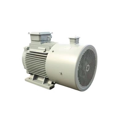 F-Klasse 50 PS elektrischer, hocheffizienter Permanentmagnetmotor