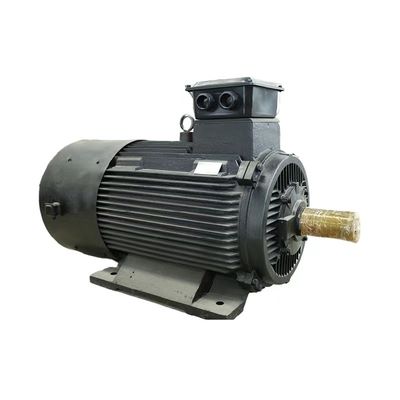 Maximal 50 kg Mehlkapazität Dauermagnet-Synchronmotor IEC/DIN Standard Luft/Wasserkühlung