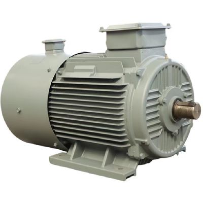 Maximal 50 kg Mehlkapazität Dauermagnet-Synchronmotor IEC/DIN Standard Luft/Wasserkühlung