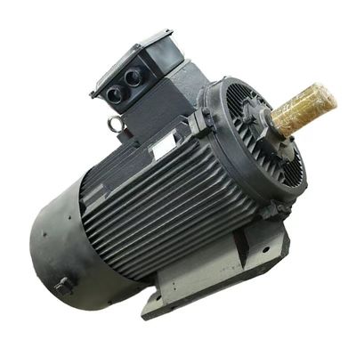 Maximal 50 kg Mehlkapazität Dauermagnet-Synchronmotor IEC/DIN Standard Luft/Wasserkühlung