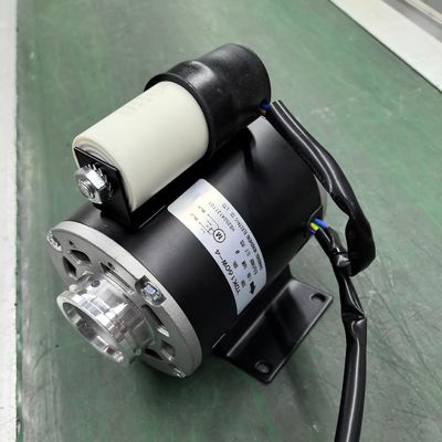Elektrische Wasserkaffeemaschine Pumpenmotor mit Kondensator Einphasendesign 350w 550w