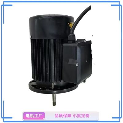 Kompakter Einphasenwasserpumpenmotor mit 1 PS - ideal für Garten und Haus