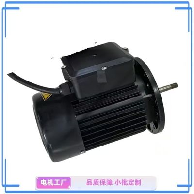 Kompakter Einphasenwasserpumpenmotor mit 1 PS - ideal für Garten und Haus